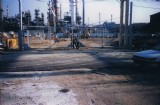 picture_     
